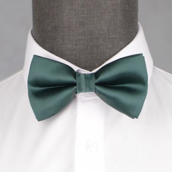 Бабочка мужская 0202