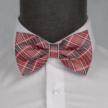 Бабочка мужская 0091