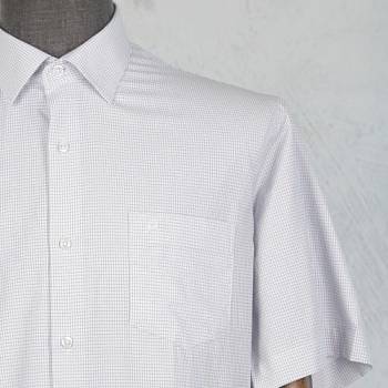 Рубашка мужская Passero PSR900-33 к/р