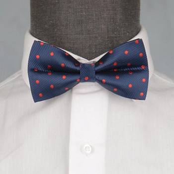 Бабочка мужская 0061