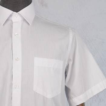 Рубашка мужская Daniel Rosso 002S к/р