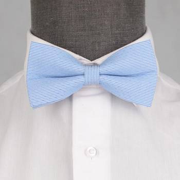 Бабочка мужская 0212