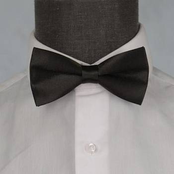 Бабочка мужская 0231