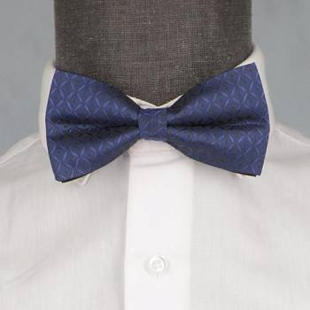 Бабочка мужская 0080